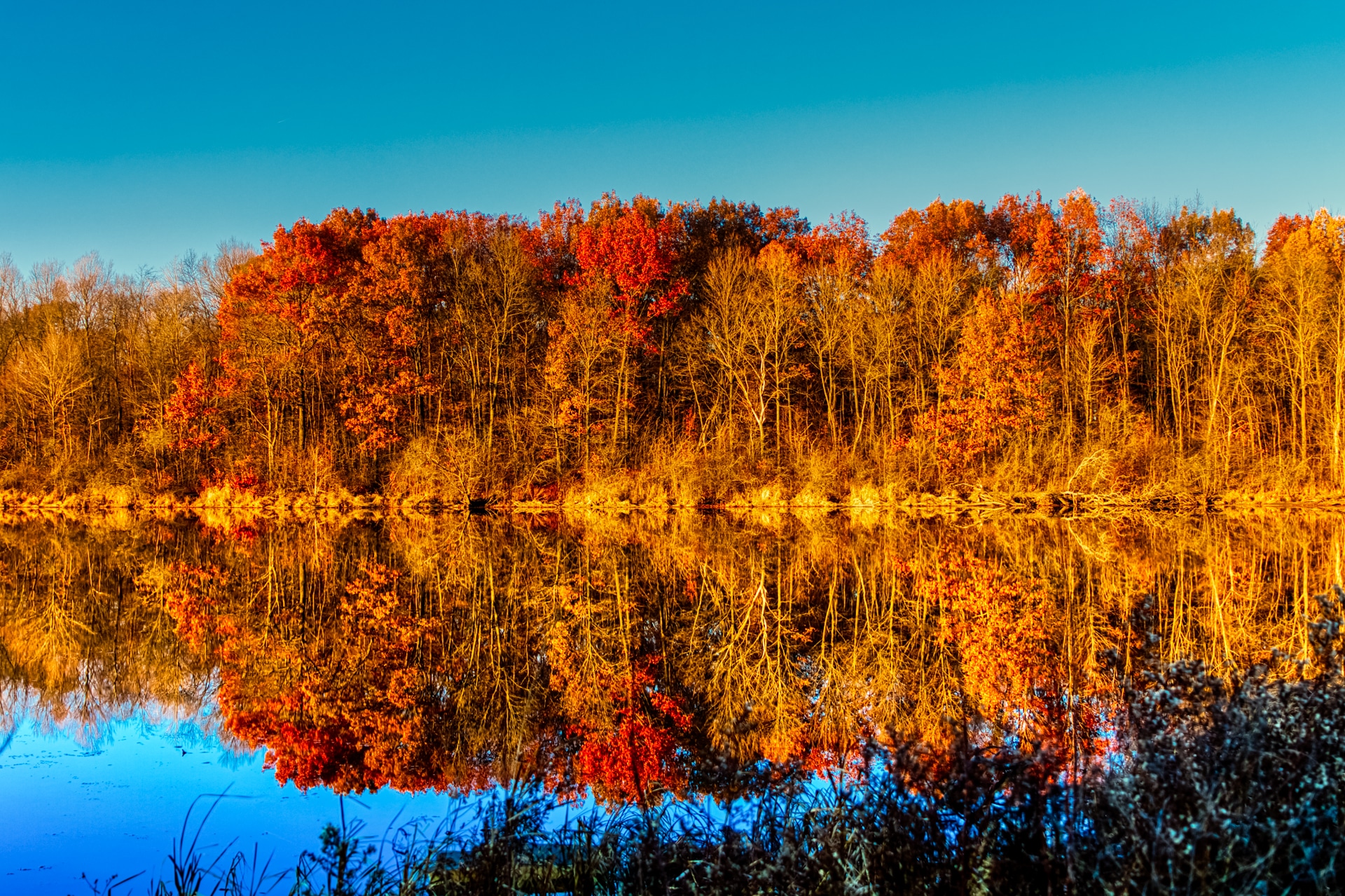 A Reflection of Autumn - Elk Grove Village, IL
