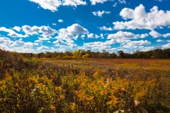 A Prairie Autumn -