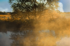 A Reflection in the Mist - Lindenhurst, IL