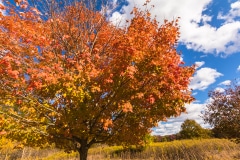 Autumn Sky - Kankakee, IL