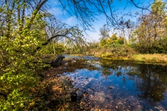 Fall on a Lazy River -