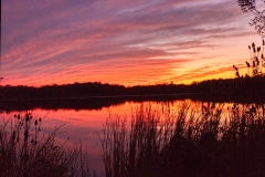 Subdue Sunset - Elk Grove Village, IL