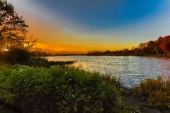 Sunset in the Trees - Elk Grove Village, IL.