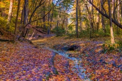 Trickling Stream - Starved Rock, IL