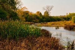 Wetlands in October -