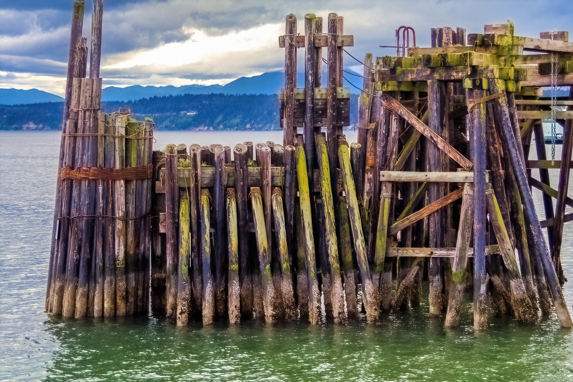 Colors of Wood - Port Townsend, WA.