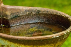 A Watering Hole - Burtrum, MN.