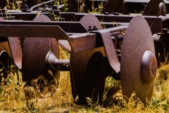 Sliced and Diced -  Fielding Garr Ranch, Antelope Island State Park. UT.