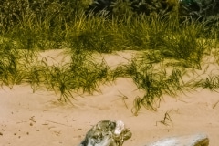 Washed Up - Door County, WI.