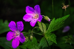 Snack Time - Devils Lake, WI.