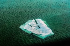 Floating Iceberg - Nunavut, Canada.