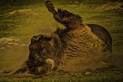 1_Bathtime-in-Dirt-Roosevelt-N.P.-ND-1-of-1-E3dit