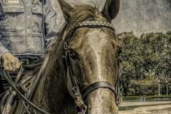 A Chicago Lone Ranger - Grant-Park, Chicago, IL.  Gundge