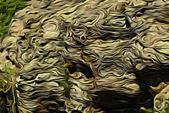 Abstract-at-Shawnee-Shawnee-National-Forest-IL-71457-Edit