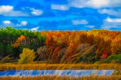 The Color of Autumn - Wauconda, IL