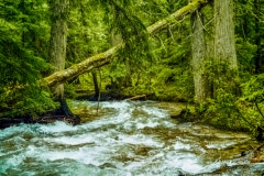 Springtime Runoff - Northern ID.