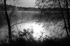 Morning on a Marsh (Black & White) - Lindenhurst, IL.