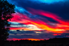 A Rush of Light - Elk Grove Village, IL.
