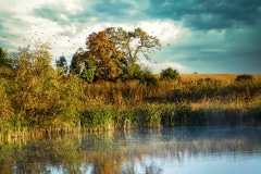 Autumn Flight - Lindenhurst, IL.