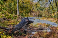 Backwater Hangout - Kankakee, IL.