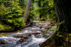 Backwoods Creek - Priest Lake, ID.