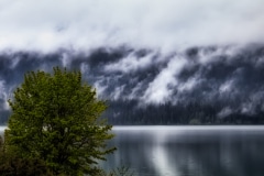 Cloudy and Overcast - Quinault WA.