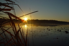 Sunrise on Deep-Lake - Lake Villa, IL.
