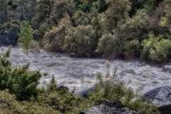 Flooding on the Rapids - Yosemite N.P. CA.