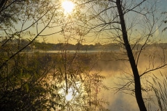 Golden-Mist-Lindenhurst-IL-20