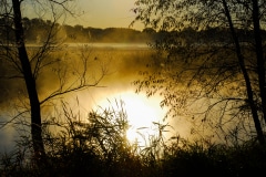 Morning on a Marsh - Lindenhurst, IL.