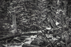 Northern Wilderness - Northern Idaho.