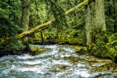 Springtime Runoff - Northern Idaho.