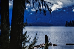Summer Morning in Idaho - Priest Lake, ID