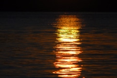 Summer Sunset  - Deep Lake, Lake Villa, IL.