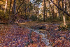 Trickling Stream - Starved Rock S.P. IL.
