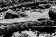 Water and Wood - Northern Idaho.