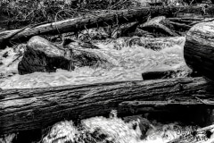 Water and Wood - Northern Idaho.