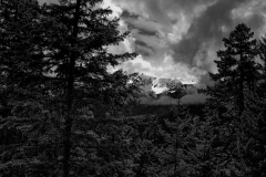 A Storm is Coming-  Olympic N.P. Port Angels, WA.-