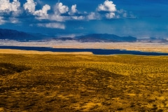 Barren Land - Southern NV.