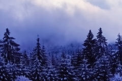 Blue Winter in Germany - Bavaria Germany.