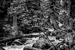 Northern Wilderness - Northern Idaho