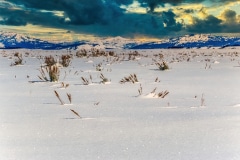 Sparkling Snow -Teton N.P. Jackson, WY.