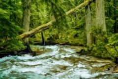 Springtime Runoff -  Northern Idaho.