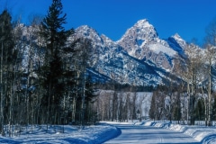 Winter Road Home - Moose, WY.