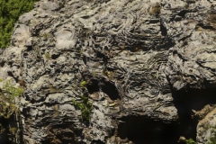 Abstract-at-Shawnee-Shawnee-National-Forest-IL-7157-Edit