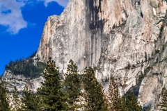 Half Dome - Yosemite N.P. CA.