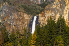 Serenity in Yosemite- - Yosemite N.P. CA.