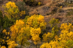 Teddys Place - Roosevelt N.P. ND.