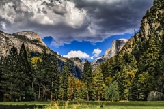 The Yosemite Basin - Yosemite N.P. CA.