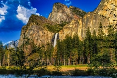 They Call Me Majestic -  - Yosemite N.P. CA.